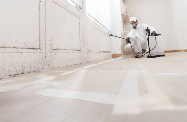 24/7 Emergency Attic Mold Removal experts in Woodstock, IL