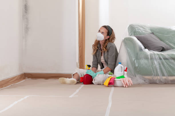 Reliable Attic Mold Removal contractor in Woodstock, IL by WQB Mold Removal